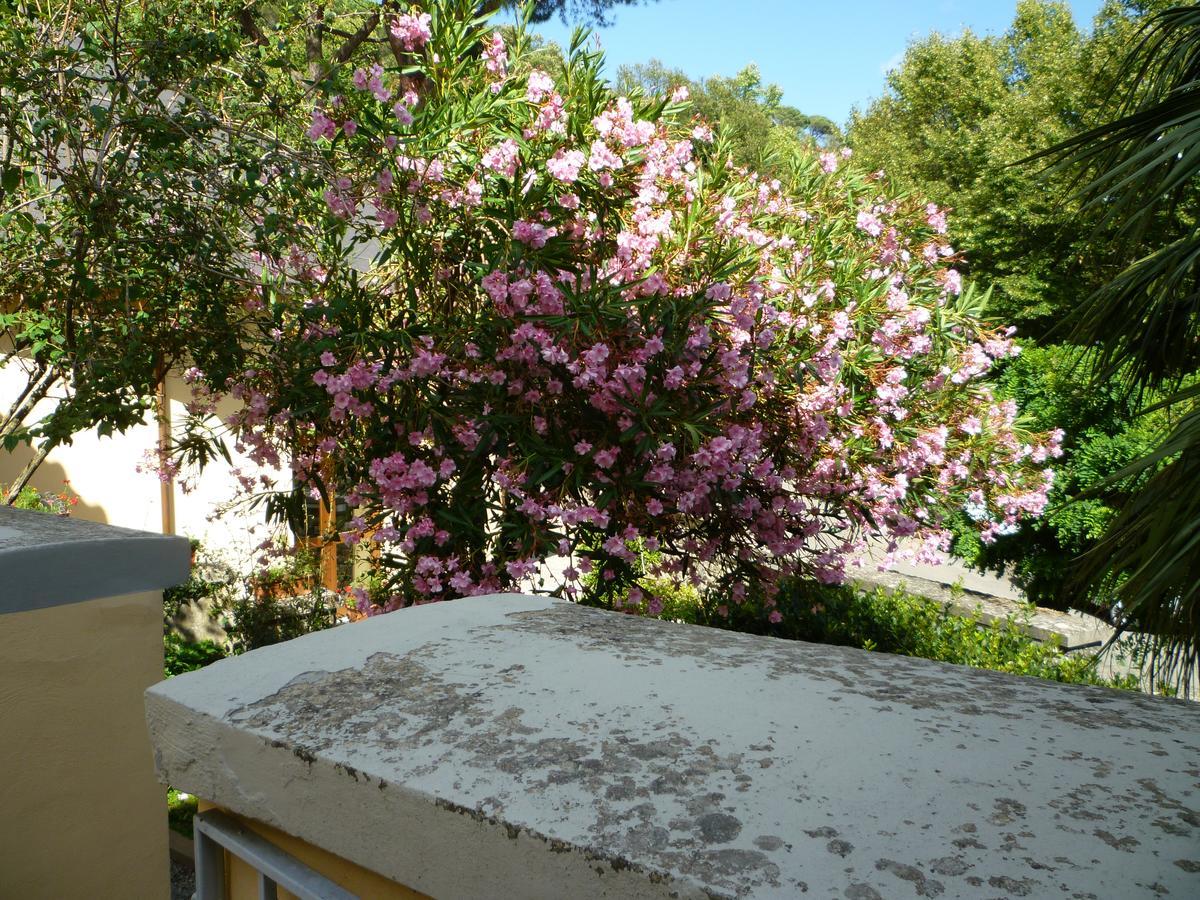 Villa Santa Margherita - B&B Cortona Buitenkant foto
